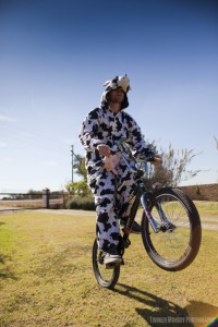 All cow for the Expresso Show Shoot