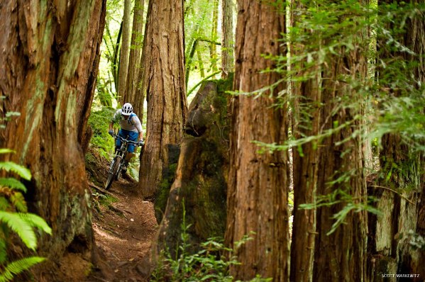 Brian Astell. Woodacre, CA.