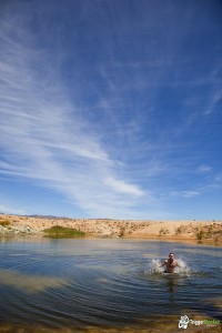 Water in the Karoo - must swim