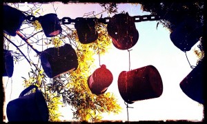 Clangy Cups