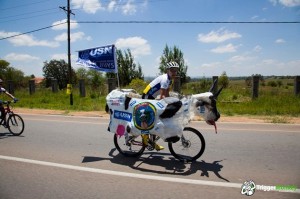 Philip Buys - pro mountain biker...in a cow