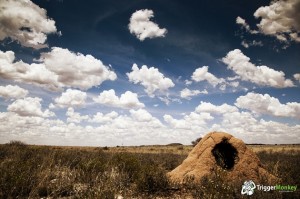 I call it Anthill with hole in it