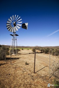 Windmills everywhere