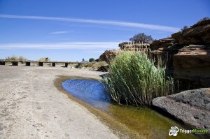 Water in the Karoo - document that with a picture