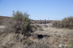 Not so succulent Karoo