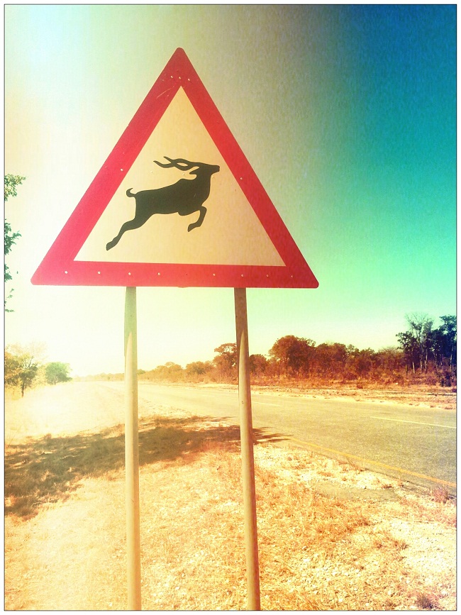 Kudu (presumably this sign is referring to all antelope otherwise they don't care for Impala much) 