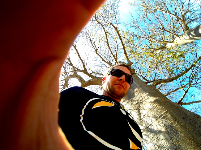 Like I said...Baobabs