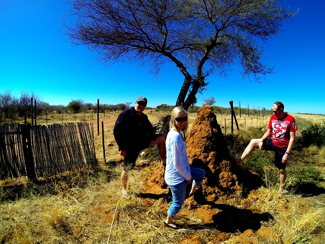 The sensible one is the one in the middle - just to be clear