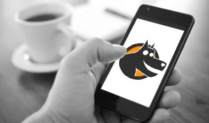 Big Inja Mobile Workers