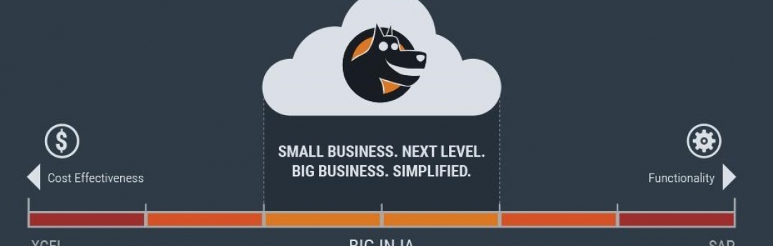 Infographic: Infinitely Expandable Organic Business System